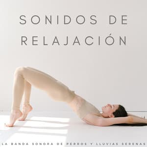 Sonidos De Relajación: La Banda Sonora De Perros Y Lluvias Serenas - Príncipe de la lluvia