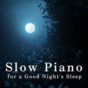 Slow Piano for a Good Night's Sleep - Relax α Wave
