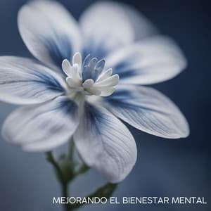 Mejorando el Bienestar Mental - Lista de Reproducción Relajante para Calmar el Sistema Nervioso Simpático - Vanda Tuomalas