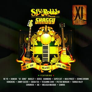 Out of Many, One Music - Shaggy