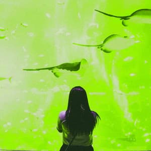 Music for Working Points - Jazz-hop - Lo-fi Pop Sounds