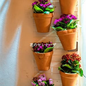 花のセレナーデ - Musica para Hoteles De Lujo