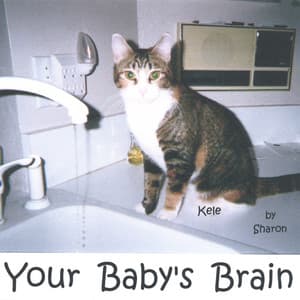 Your Baby's Brain - Sharon
