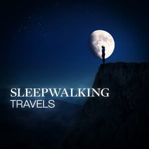 Sleepwalking Travels - Deep Sleep Music Masters
