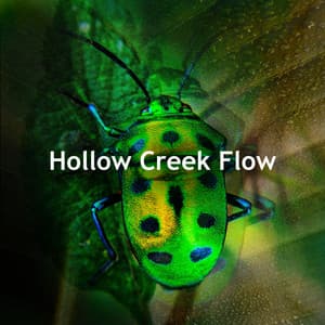 Hollow Creek Flow - Night Sounds