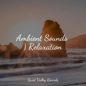 Ambient Sounds | Relaxation - Lullabies for Deep Meditation