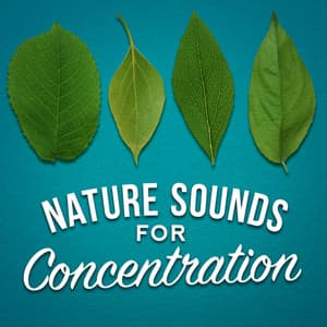 Nature Sounds for Concentration - Exam Study Nature Music Nature Sounds