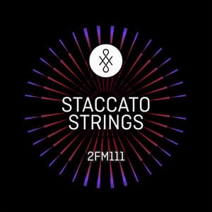 2FM111 Staccato Strings - Paul Reeves