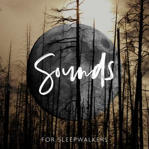 Sounds for Sleepwalkers: Music to Calm Your Mind and Heal Somnabulism - Deep Sleep Relaxation Universe