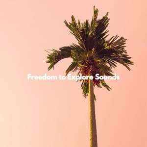 Freedom to Explore Sounds - Cafe & Chill