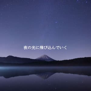 夜の光に飛び込んでいく - Música para Cocinar Playlists