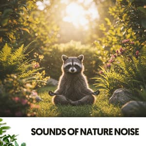 Sounds of Nature Noise: The power of Rain - Dog Relaxation