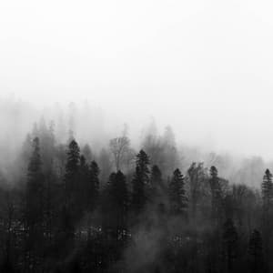 Deep Sleep Music in the Winter - Academia de Meditação Buddha