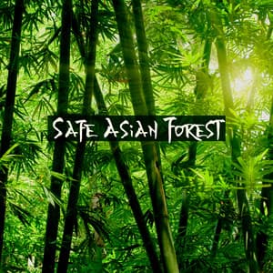 Safe Asian Forest - Magic Leaf Creator
