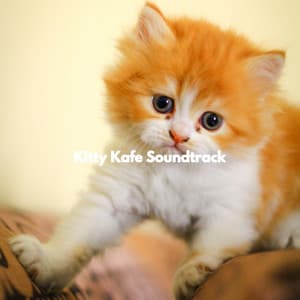 Kitty Kafe Soundtrack - Relaxing Coffee Shop