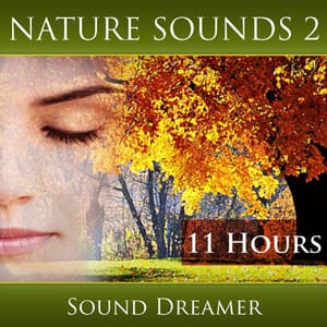 Nature Sounds 2 - 11 Hours - Sound Dreamer