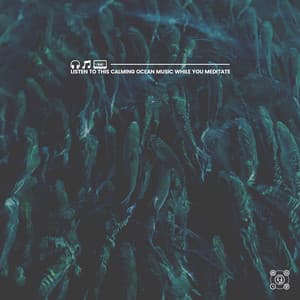 Listen to This Calming Ocean Music While You Meditate - ASMR Earth