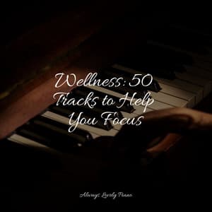 50 Piano Melodies to Calm the Soul - Piano Soul