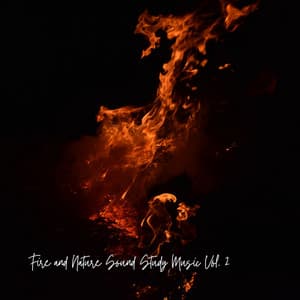 Fire and Nature Sound Study Music Vol. 2 - Pure Study Music