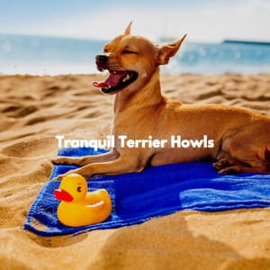 Tranquil Terrier Howls - Dog Sleeping Soundtracks Deluxe