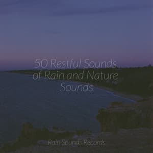 50 Restful Sounds of Rain and Nature Sounds - Relaxing Music