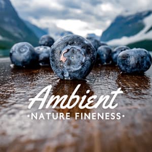 Ambient Nature Fineness - Nature Collection