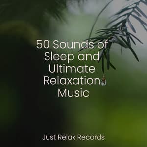 50 Sounds of Sleep and Ultimate Relaxation Music - Deep Sleep Relaxation