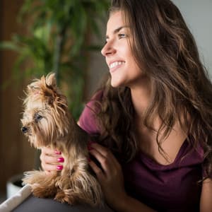 Piano Paws: Tranquil Rain Tunes for Pets - Piano Animal