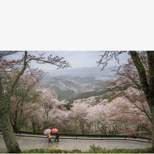 Loving - Coffee Shop Piano