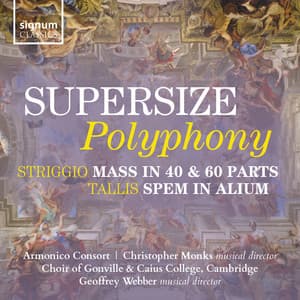 Supersize Polyphony - Armonico Consort