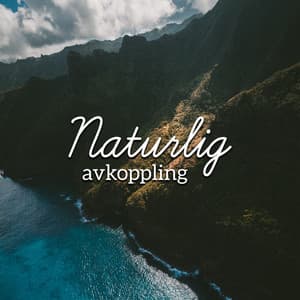 Naturlig avkoppling - För yoga meditation och sömn: Hav, Regn, Fåglar, Vattenfall, Flod, Syrsor - Avslappnande Speciell Atmosfär