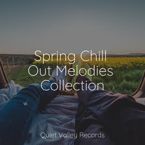 Spring Chill Out Melodies Collection - Nature Soundscape