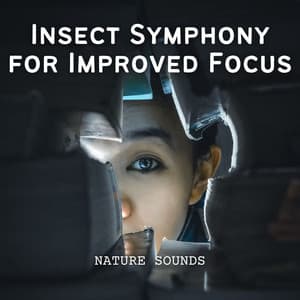 Nature Sounds: Insect Symphony for Improved Focus - Music of Nature