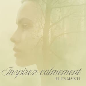 Inspirez calmement - Julien Marcel