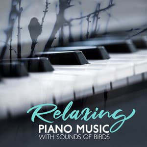 Relaxing Piano Music with Sounds of Birds for Meditation: Study, Harmony and Serenity - Relaxation Area