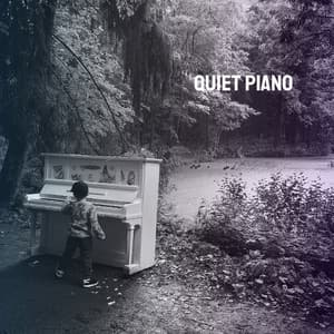 Quiet Piano - Classical Study Music
