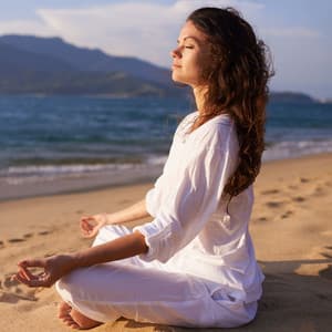 Radiant Lofi Echoes: Resonating Peace and Harmony Through Music - Simple Lo-Fi