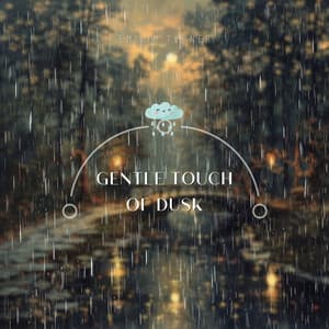 Gentle Touch of Dusk - Emilio Turner