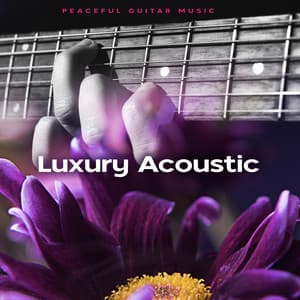 Luxury Acoustic - Peaceful Guitar Music