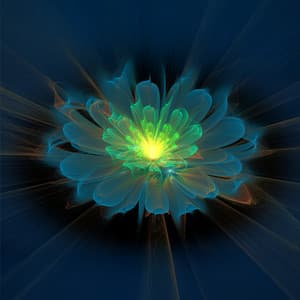 The Art of Inner Bloom - Elizabeth Mor