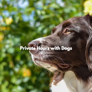 Private Hours with Dogs - Soft Jazz Relaxation