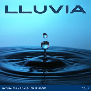Lluvia: Naturaleza Y Relajación De Noche Vol. 1 - Dormir Dan