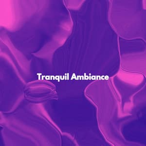Tranquil Ambiance - Deluxe Elevator Music