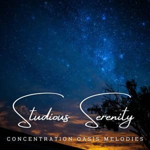 Studious Serenity: Meditative Melodies for Deep Learning - Christian Music Experience