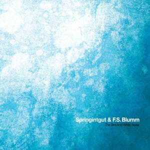 The Bird and White Noise - Springintgut