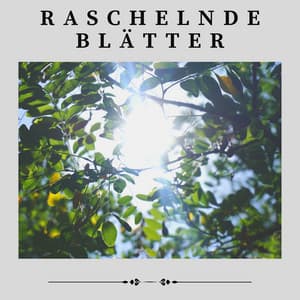 Raschelnde Blätter - Naturgeräusche