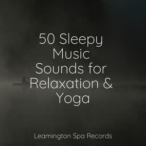 50 Sleepy Music Sounds for Relaxation & Yoga - Calm Down