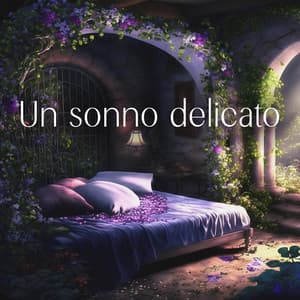 Un sonno delicato - Calmo Maestro del Sogno