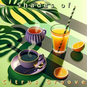 Shades of Citrus Groove: Keys in the Morning Sun - Relaxing Piano Music Oasis