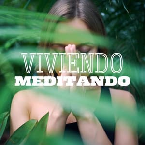 Viviendo Meditando: Música para Meditación Zen Profunda y Canciones Relajantes Buddistas para Aprender como Meditar - Meditando